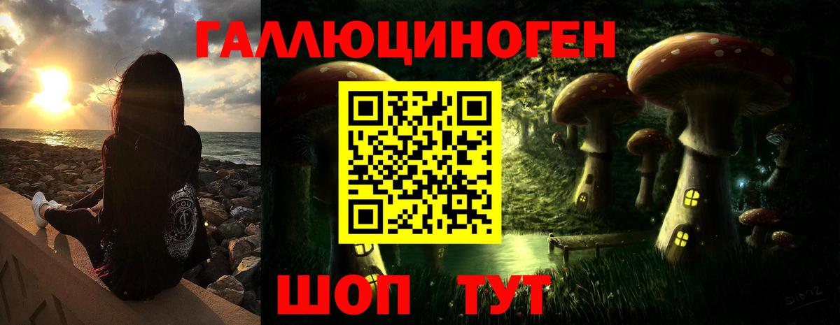 наркота  Псилоцибиновые грибы Psilocybe  Вход с VPN  Котельники 